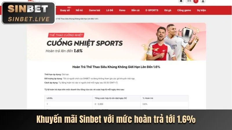 Siêu hoàn trả 5% cho cược thua tại i9bet41 online